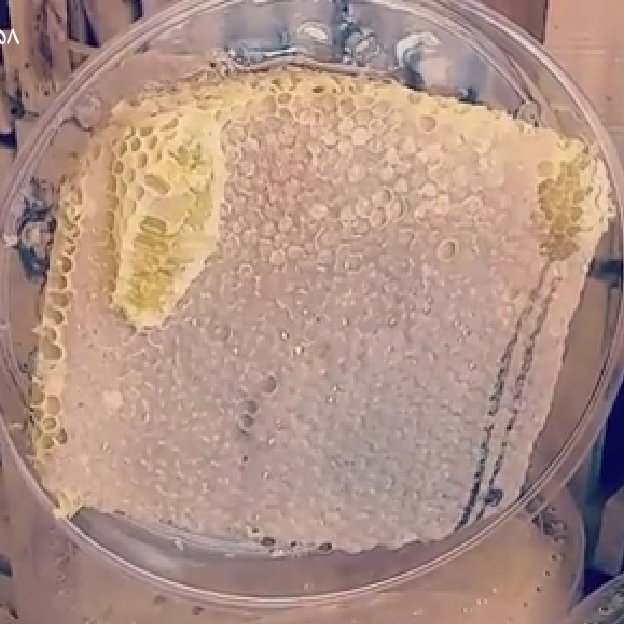 عسل سبدی یونجه