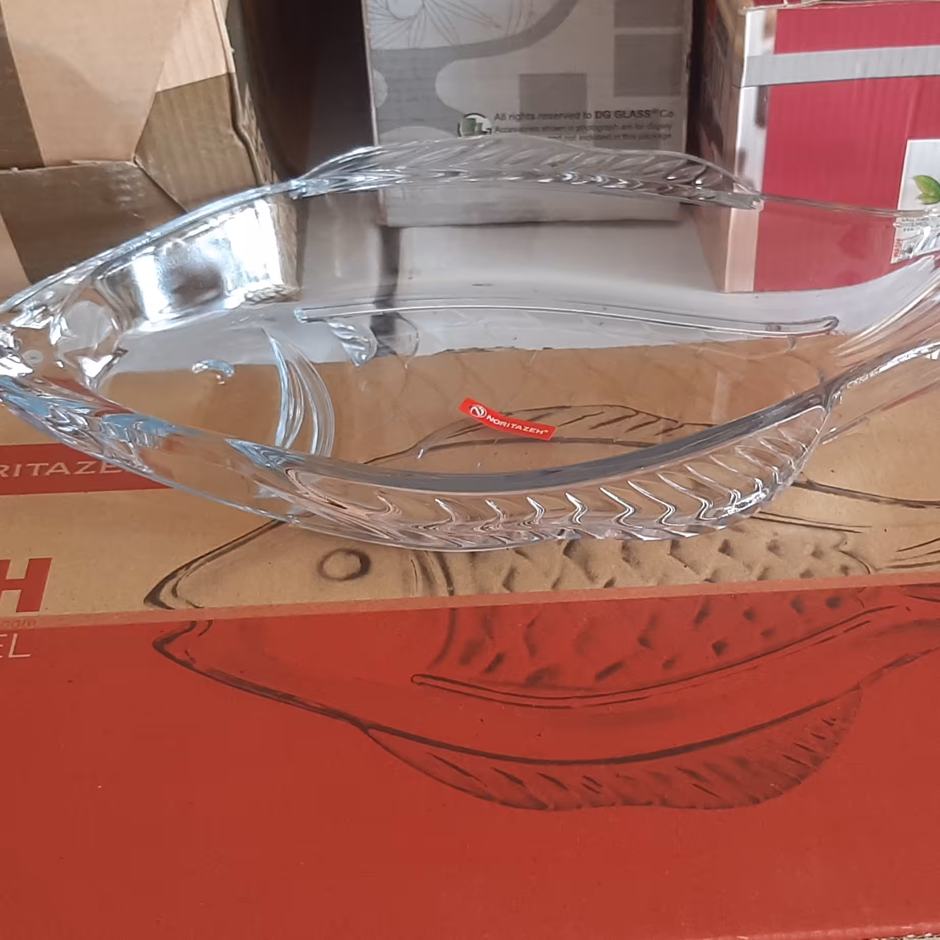 دیس ماهی بزرگ 