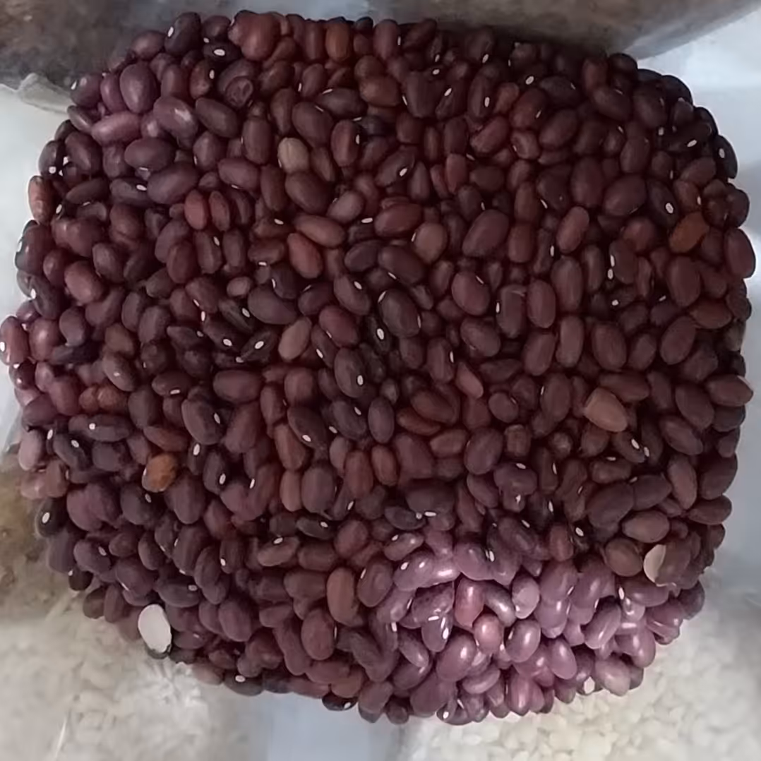 لوبیا قرمز   اعلا  زودپز