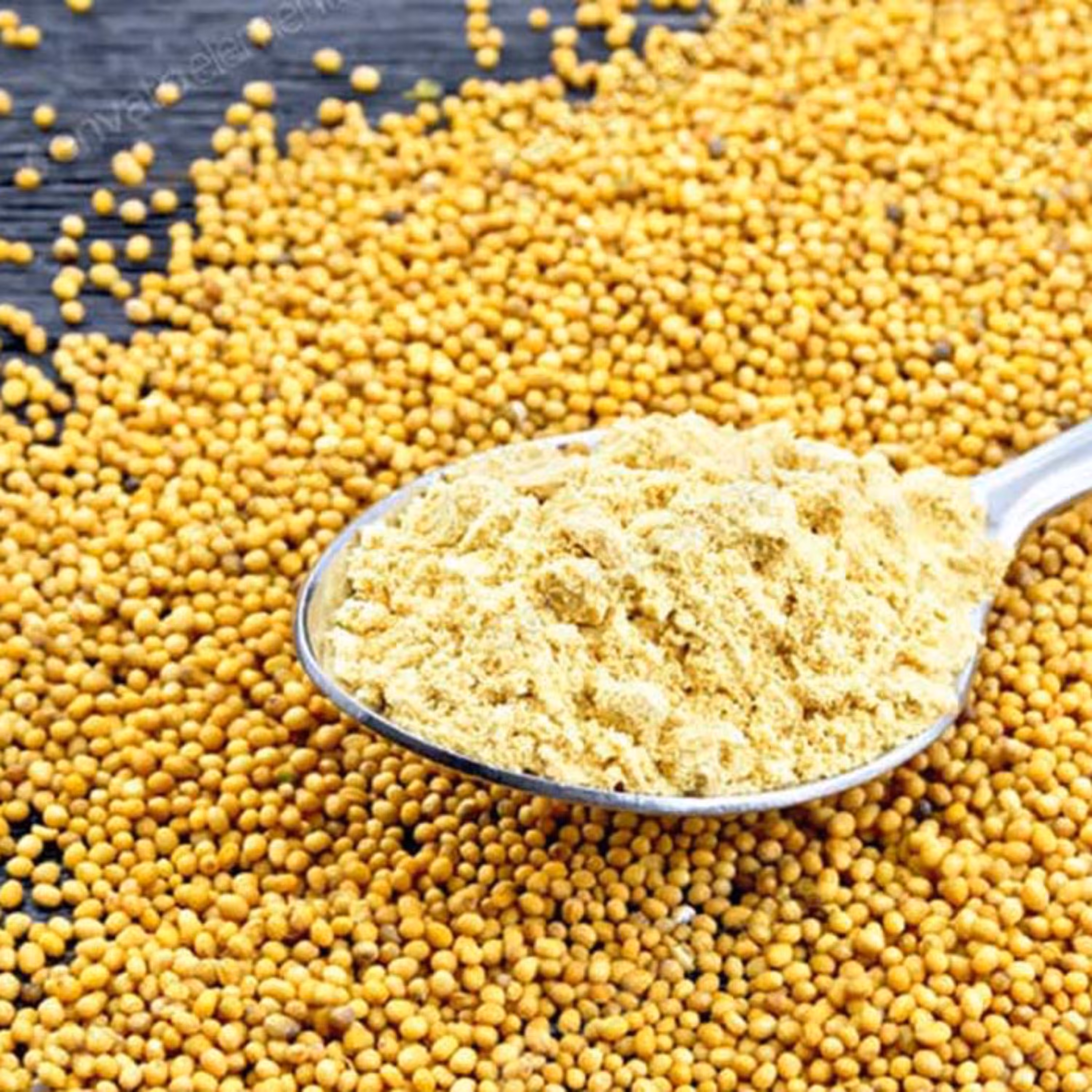 پودر خردل 500 گرمی