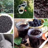 مربای تمشک جنگلی درجه یک 