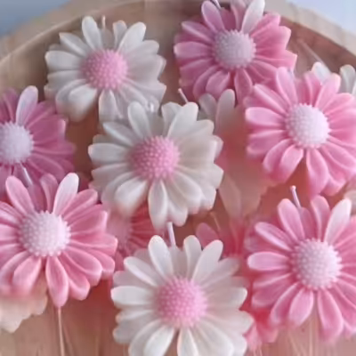 شمع بابونه روی آب