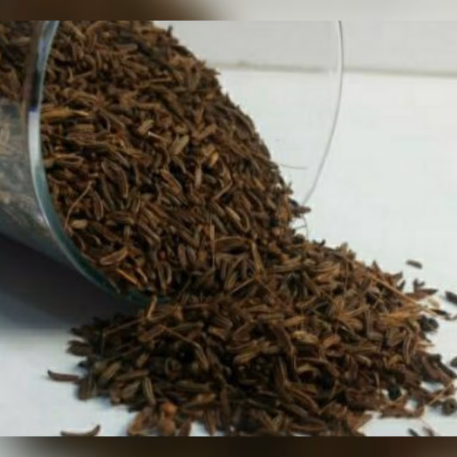 زیره سیاه کوهی ارگانیک(50گرمی)تضمین کیفیت