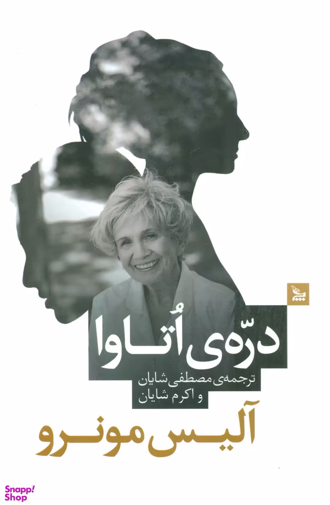 کتاب دره ی اتاوا اثر آلیس مونرو انتشارات چلچله