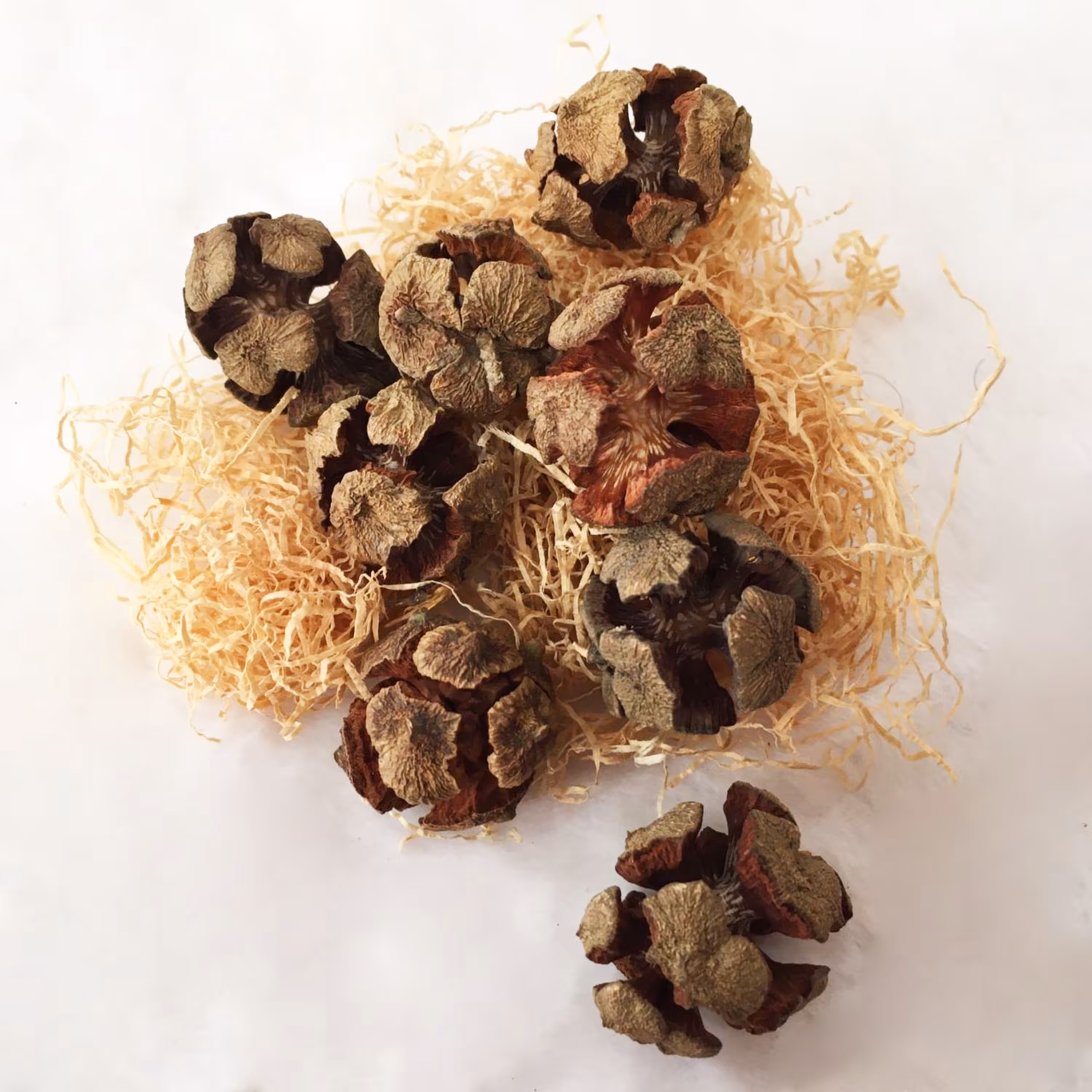 میوه سرو سیمین بسته 20 عددی رنگ قهوه ای طبیعی