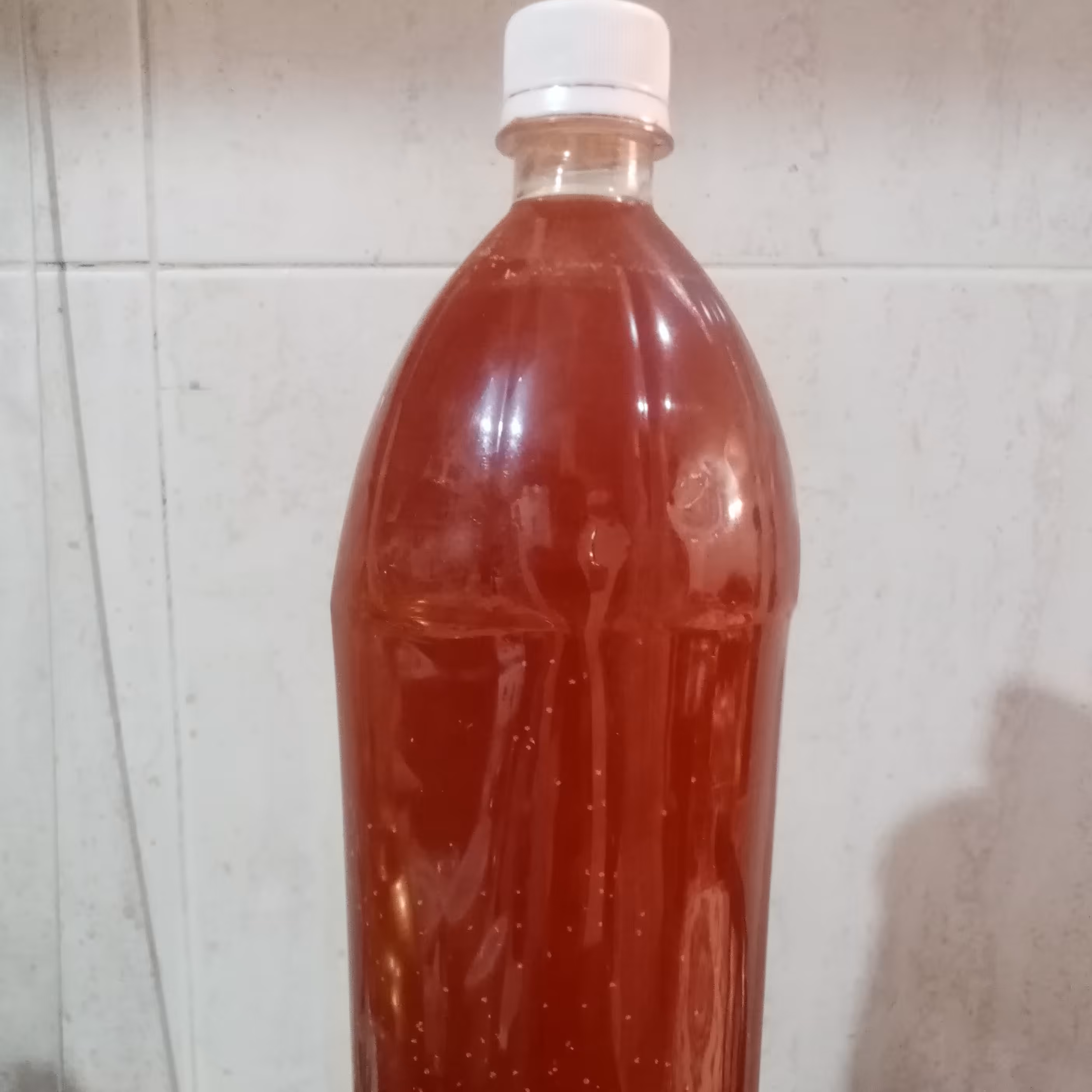 آبغوره تازه و طبیعی(1لیتر و نیم) 