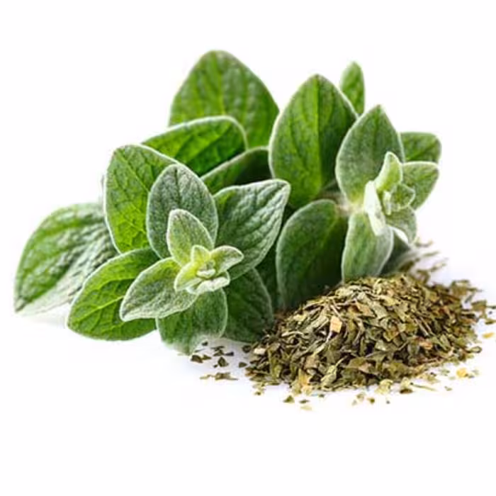 اورگانو اصلی  500 گرمی KFC