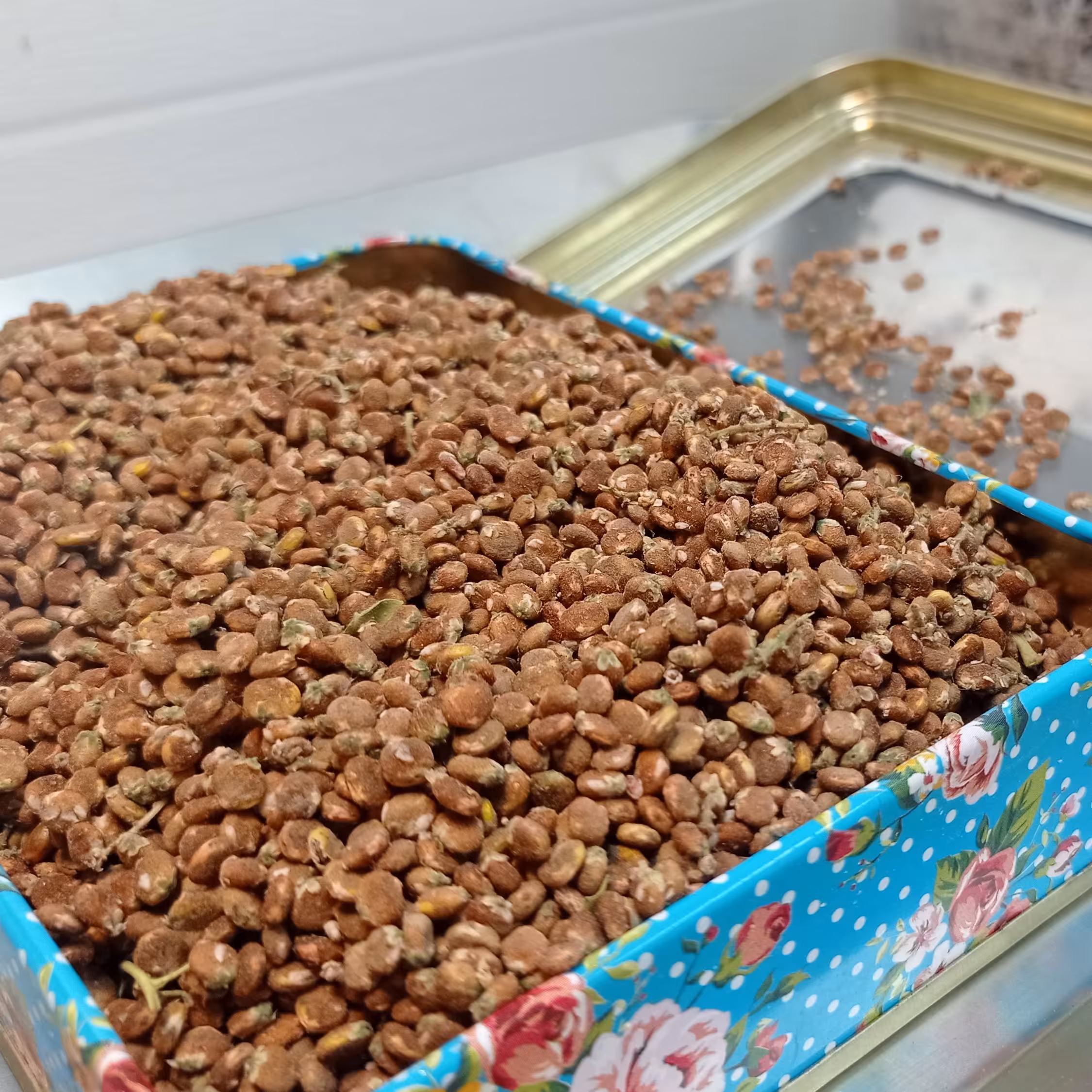 سماق آسیاب نشده  خوش طعم وزن 1 کیلو گرم