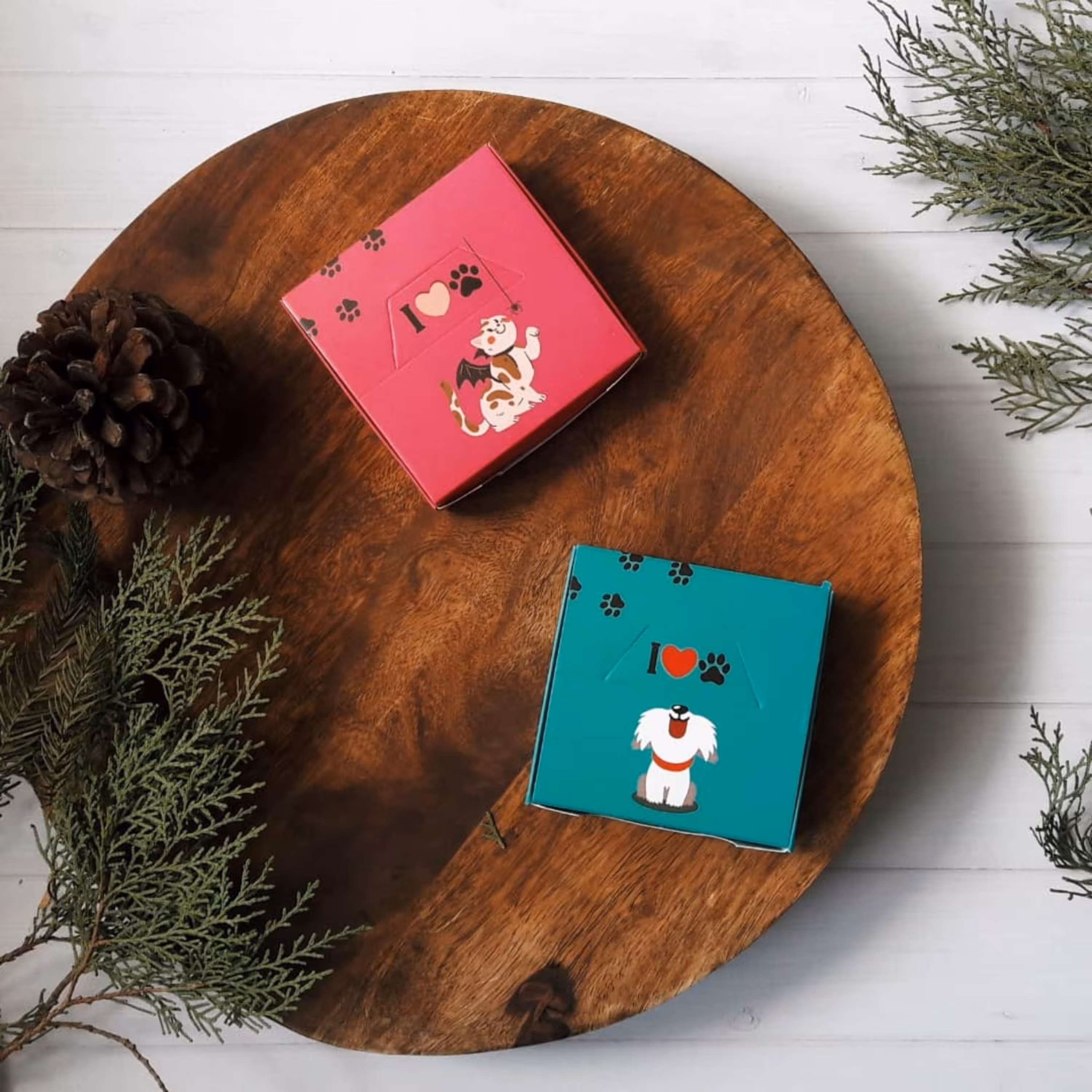 نوت باکس یاس آکام مدل گربه 