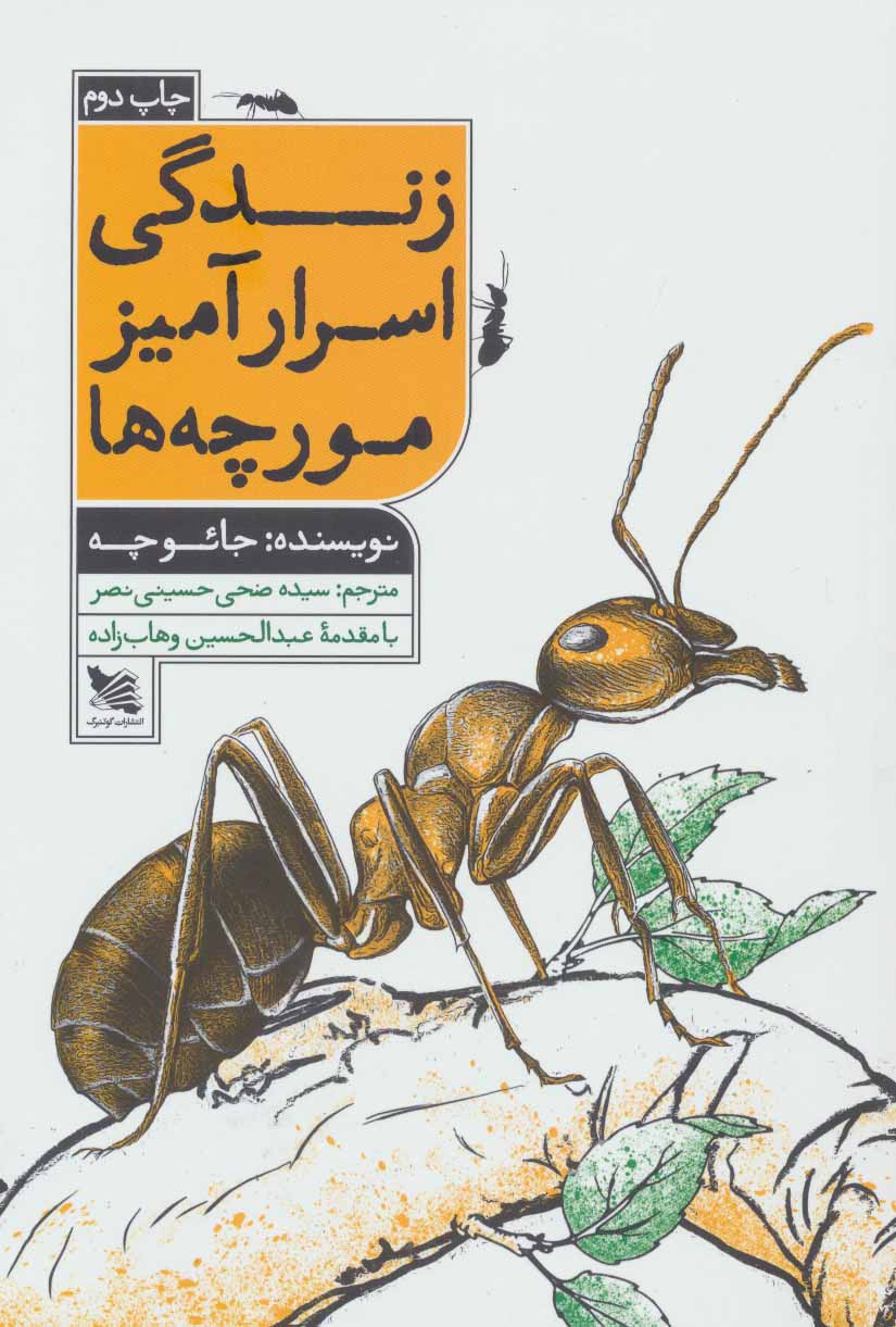 کتاب زندگی اسرارآمیز مورچه ها