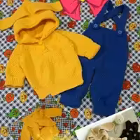 پیشبند و هودی