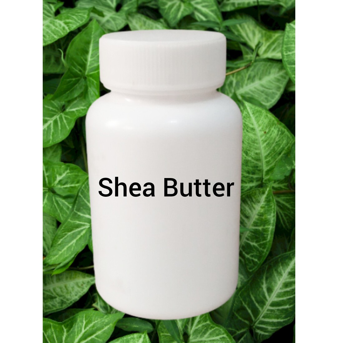 شی باتر   یا  کره ی شی 80 گرمی