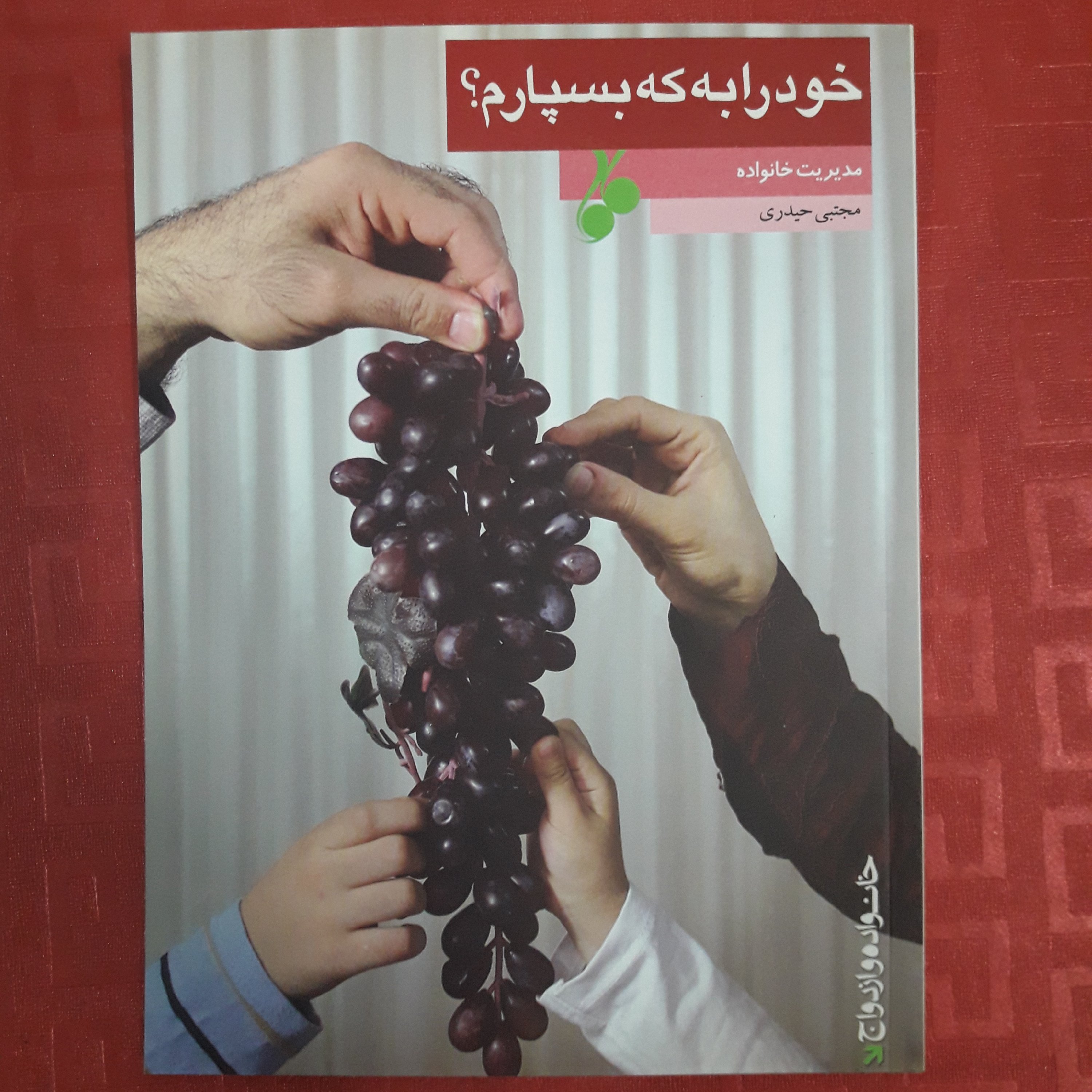 خود را به که بسپارم مدیریت خانواده مجتبی حیدری خانواده و ازدواج
