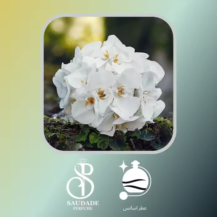 عطر گل یاس(لوزی سوئیس) - 5 میل اسپری (لطفا قبل از خرید قسمت توضیحات مطالعه گردد).