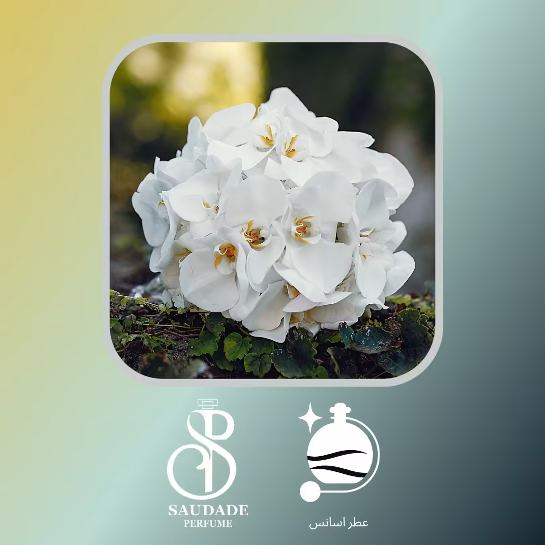 عطر گل یاس(لوزی سوئیس) - 5 میل اسپری (لطفا قبل از خرید قسمت توضیحات مطالعه گردد).