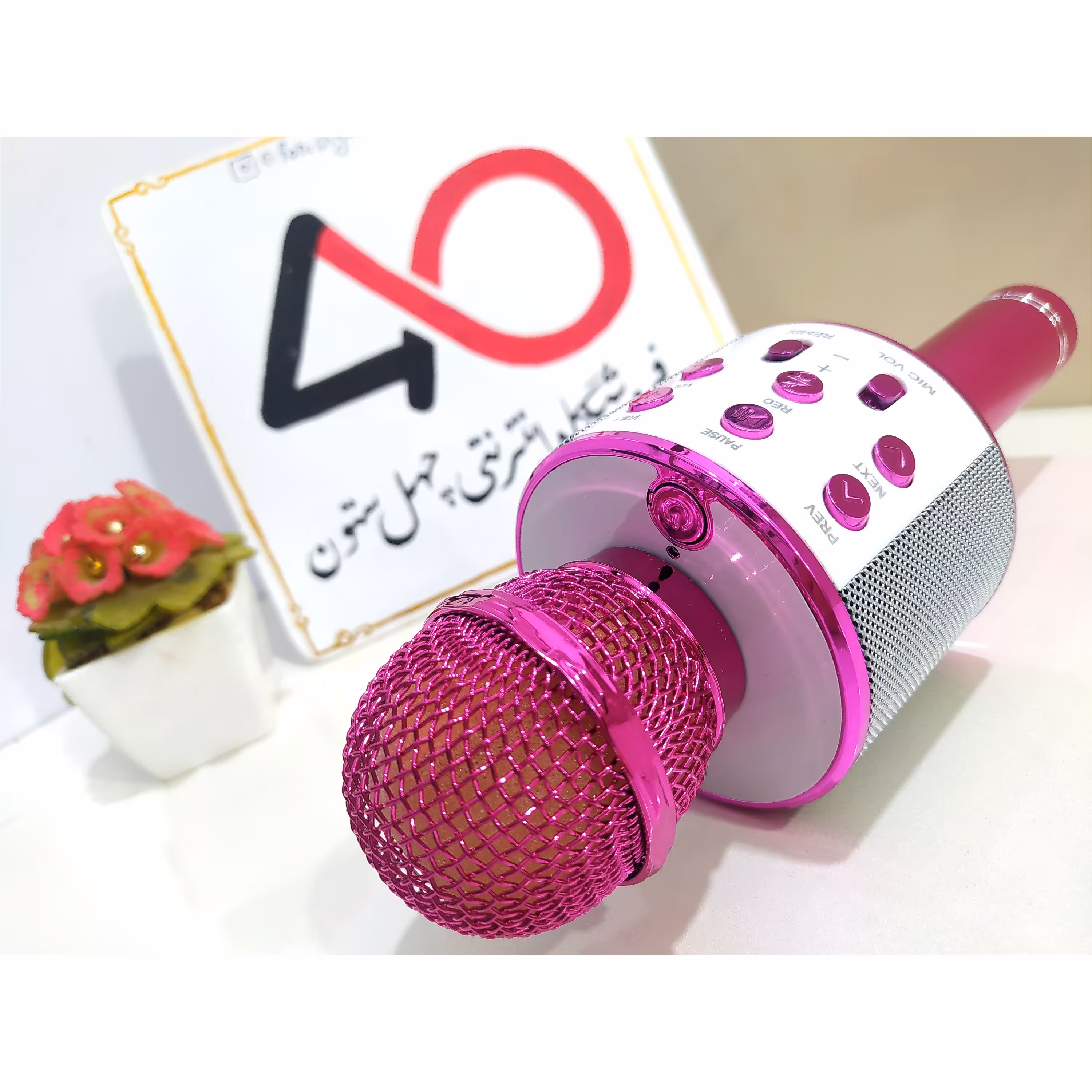 اسپیکر میکروفونی