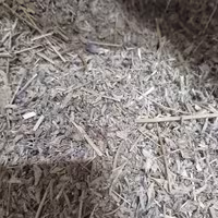 اسطخودوس ایرانی (1کیلویی)