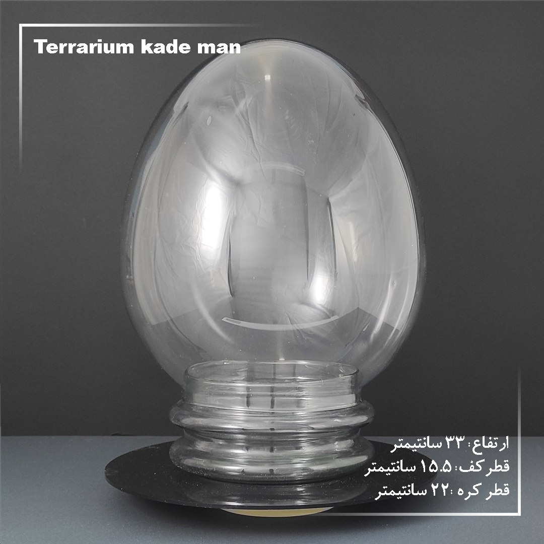 گلدان و شیشه تراریوم