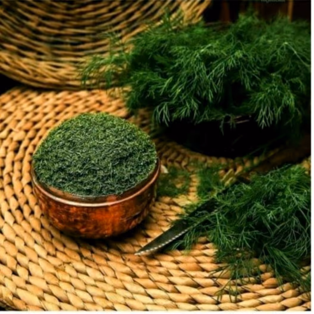 شوید  تازه خشک شده  ( 100 گرم )