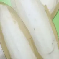 کف دریا-کلسیم پرندگان  500گرم