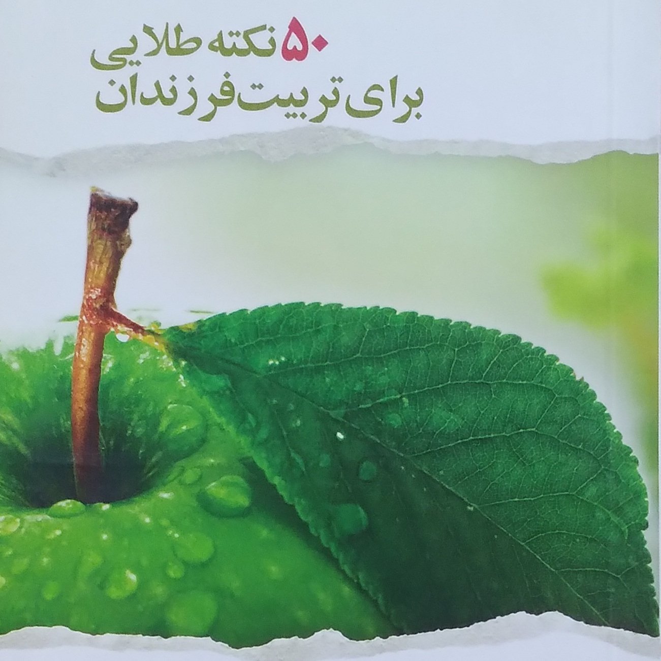 50 نکته طلایی برای تربیت فرزندان نویسنده مصطفی صادقی