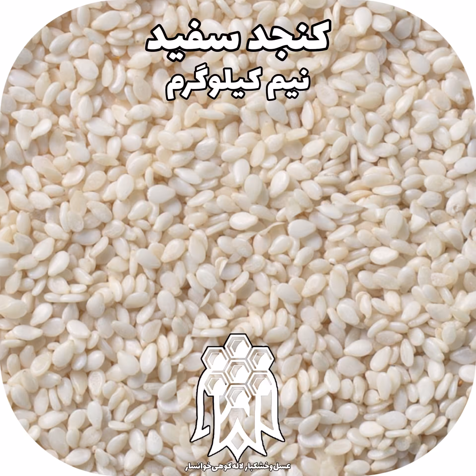 کنجد سفید خام اعلاء ( نیم کیلوگرم) خشکبار لاله کوهی