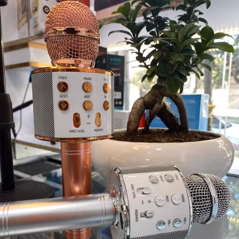 میکروفون  اسپیکر