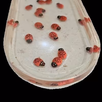 استند کفی کفشدوزک دستساز رزینی