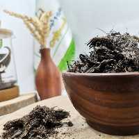 سنبل الطیب اعلا درجه یک 50 گرمی  (عطاری و محصولات ارگانیک طراوت) 