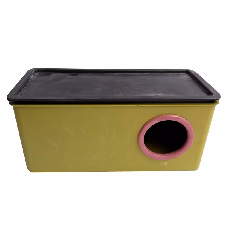 لانه پرنده مدل مرغ عشق