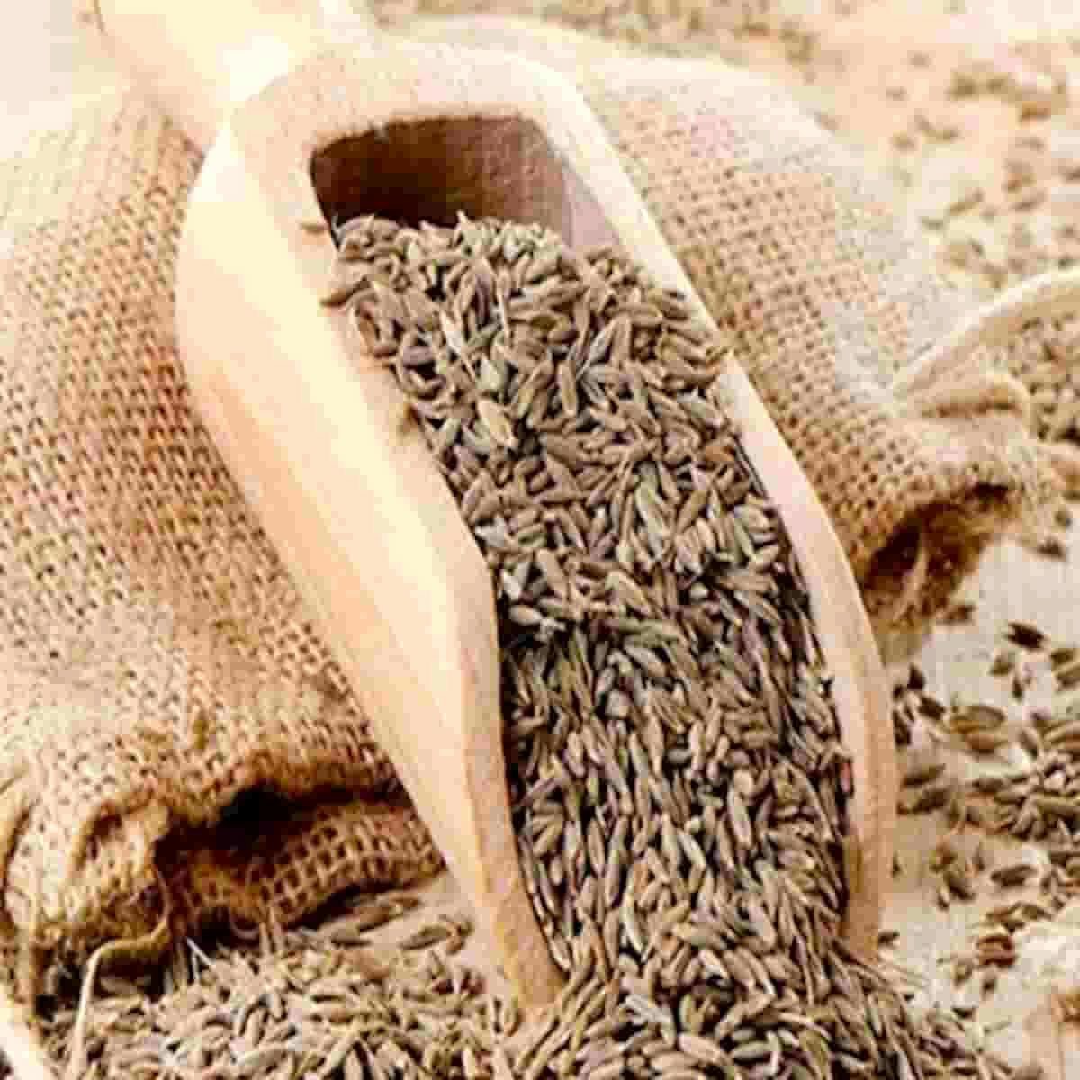 زیره سیاه