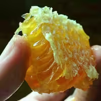 عسل صدرا