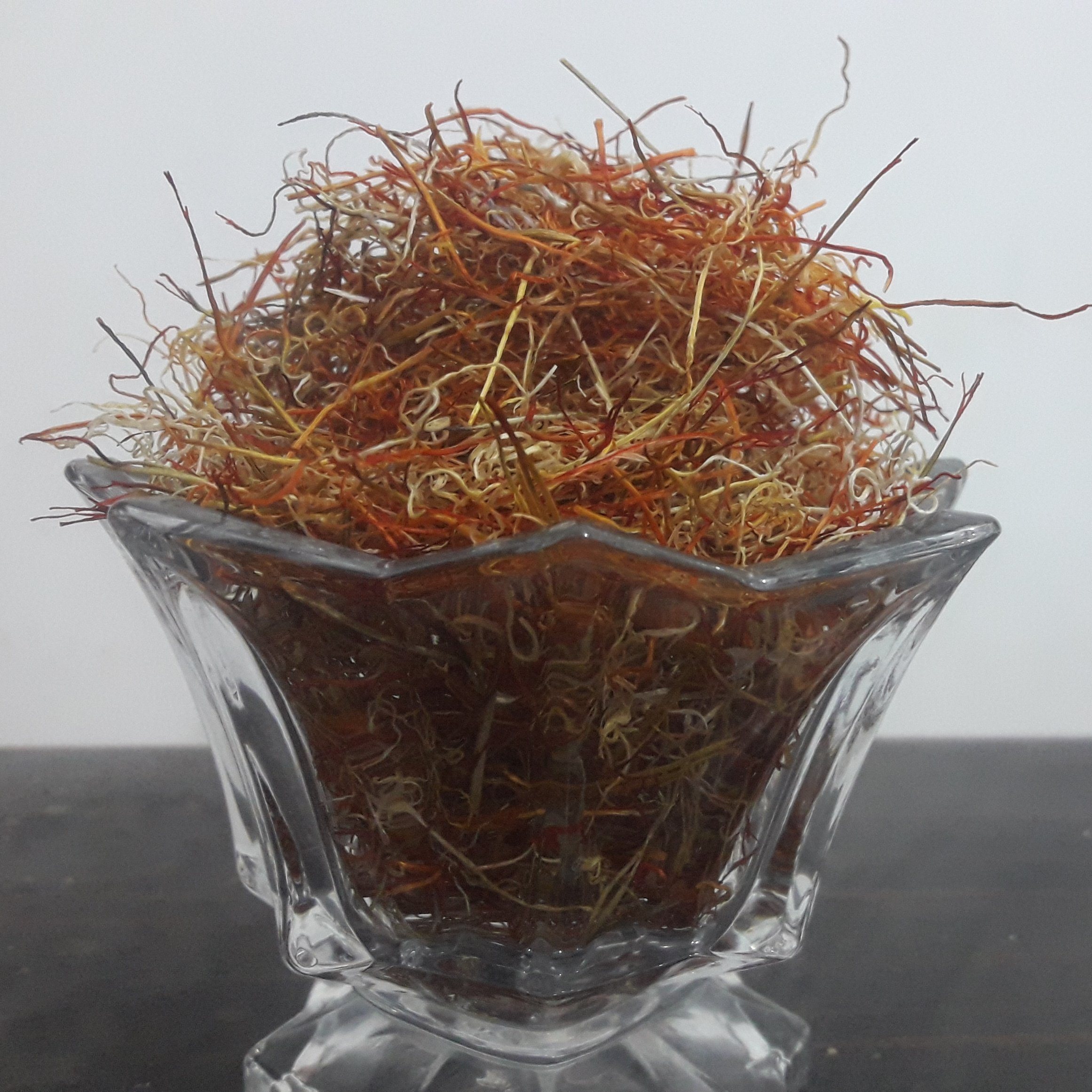 ریشه سفید زعفران