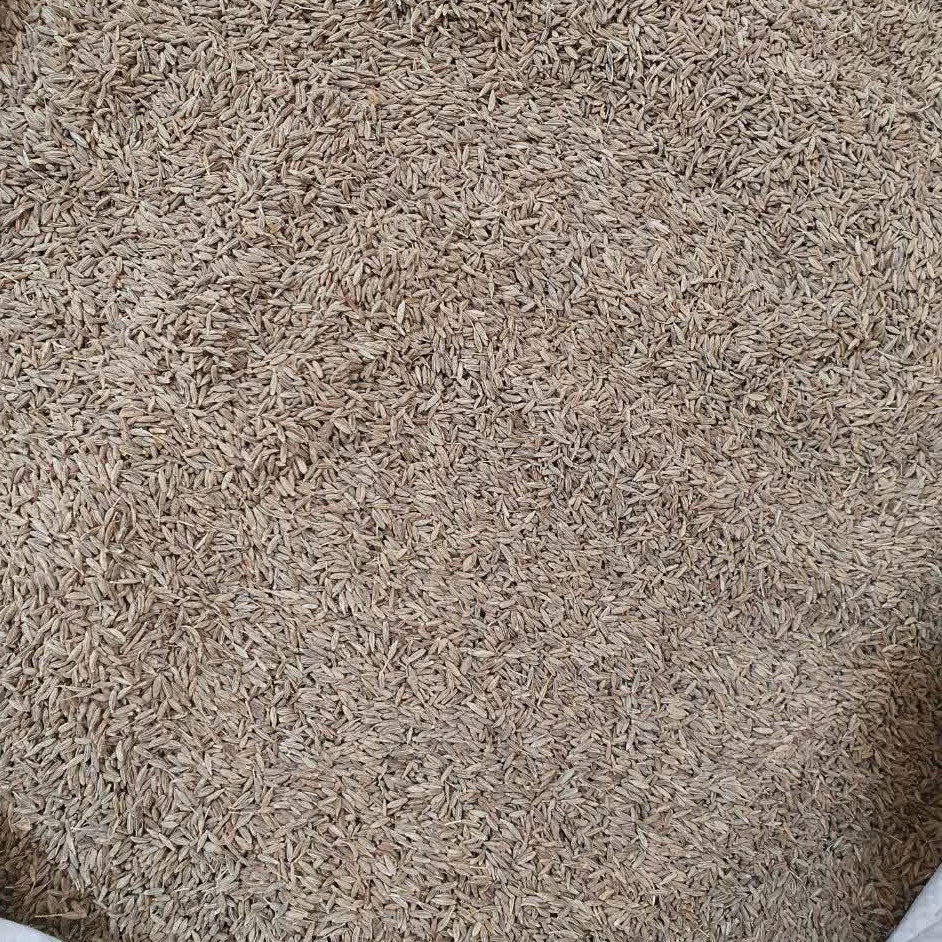 زیره سبز 50 گرم 