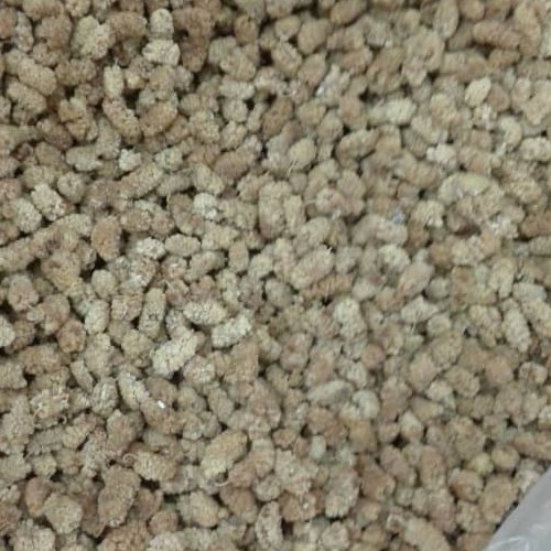 توت خشک باوزن 1000گرمی دانه درشت و نرم سفید تازه امسالی خشک شده بدون سنگ وخاک.