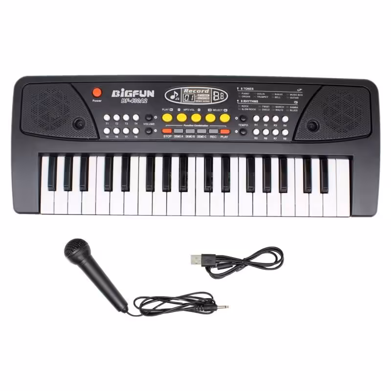 ارگ موسیقی بیگفان مدل 430