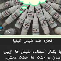 قطر ه شپش کیمیا اصلی
