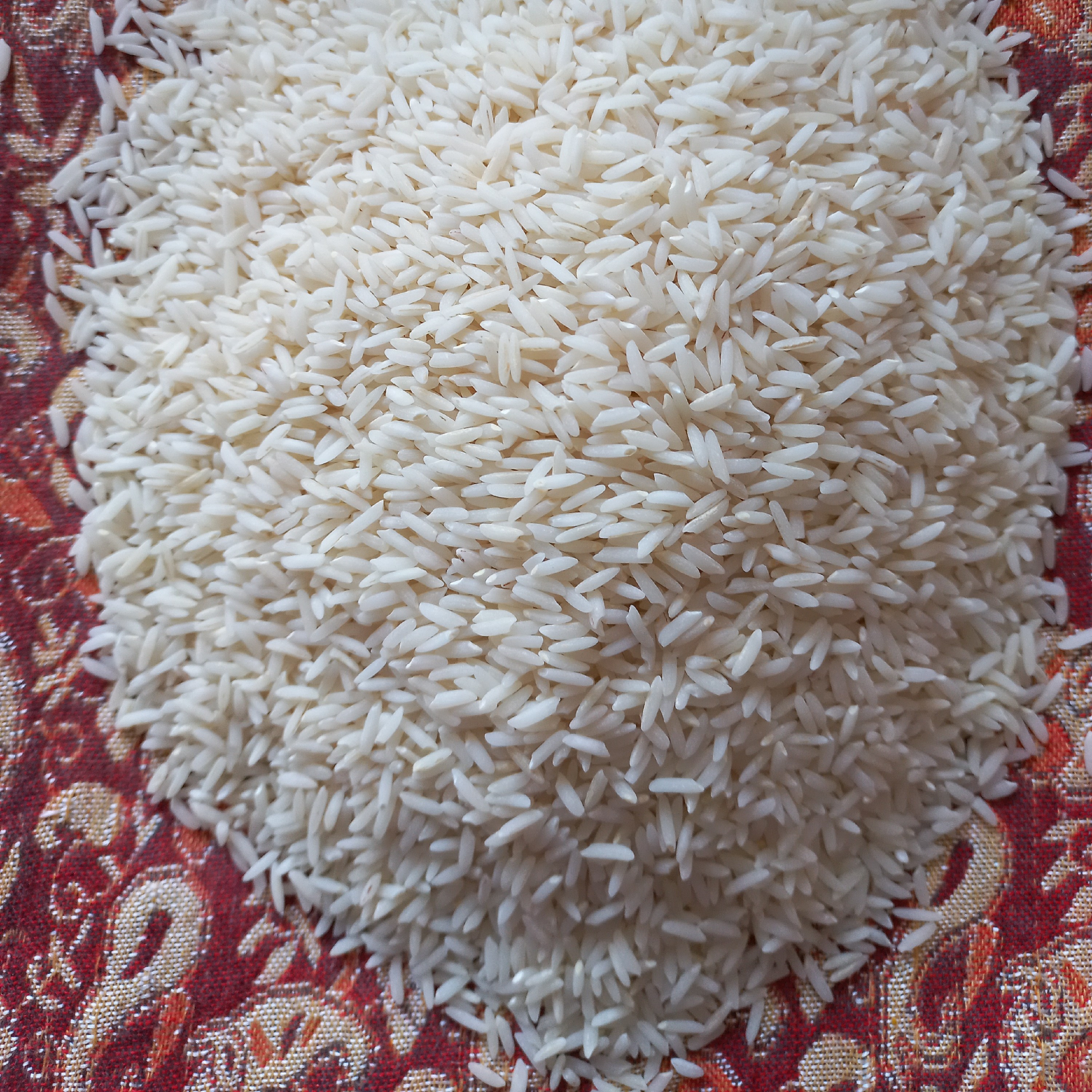 برنج هاشمی درجه یک فریدونکنار باارسال رایگان(10کیلویی)