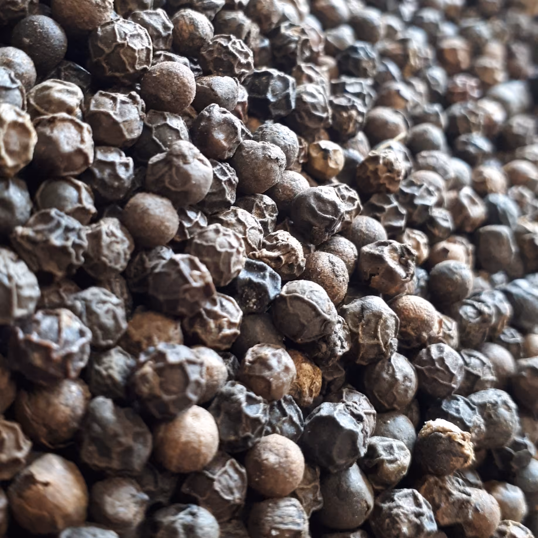 فلفل سیاه 250گرم