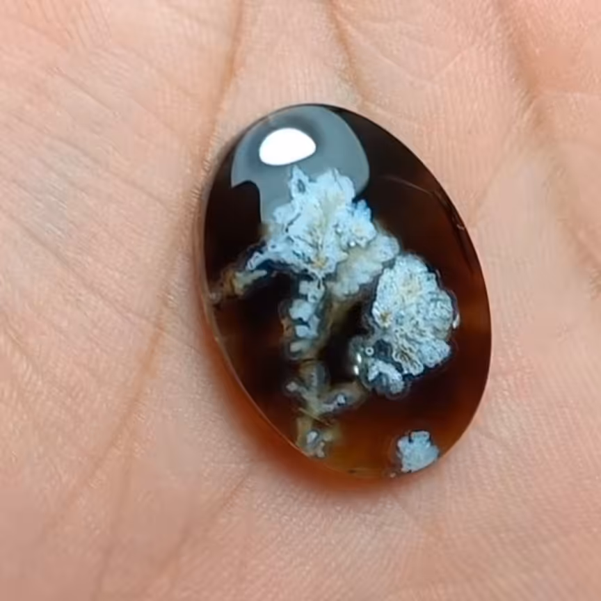 نگین خوش رنگ شجر 