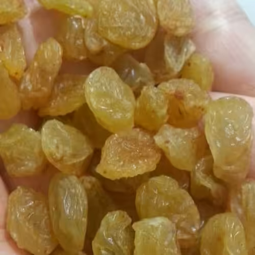 کشمش طلایی صادراتی (رنگ نباتی /انگوری) 900 گرمی
