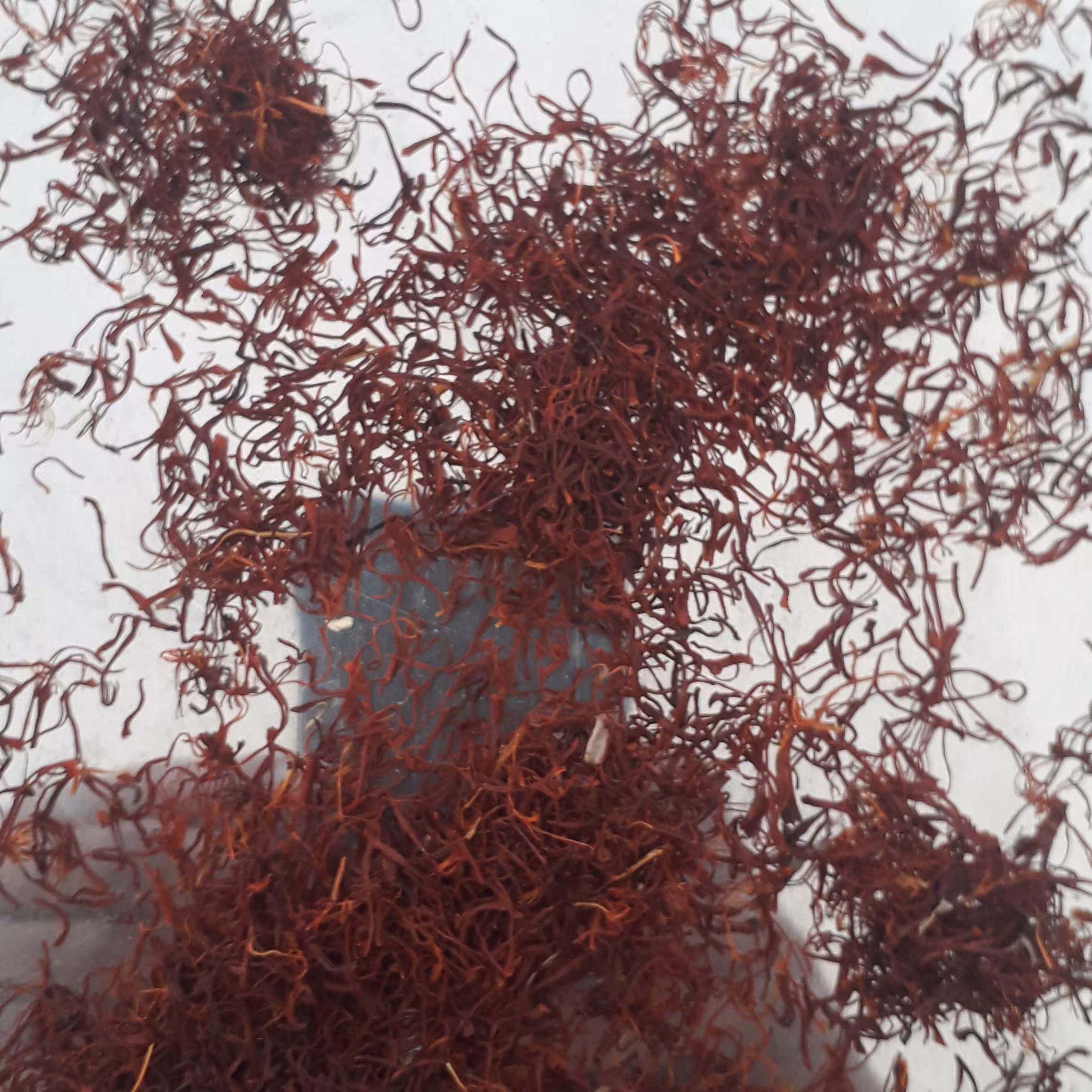 بسته 10 مثقالی زعفران سر شکسته عالی