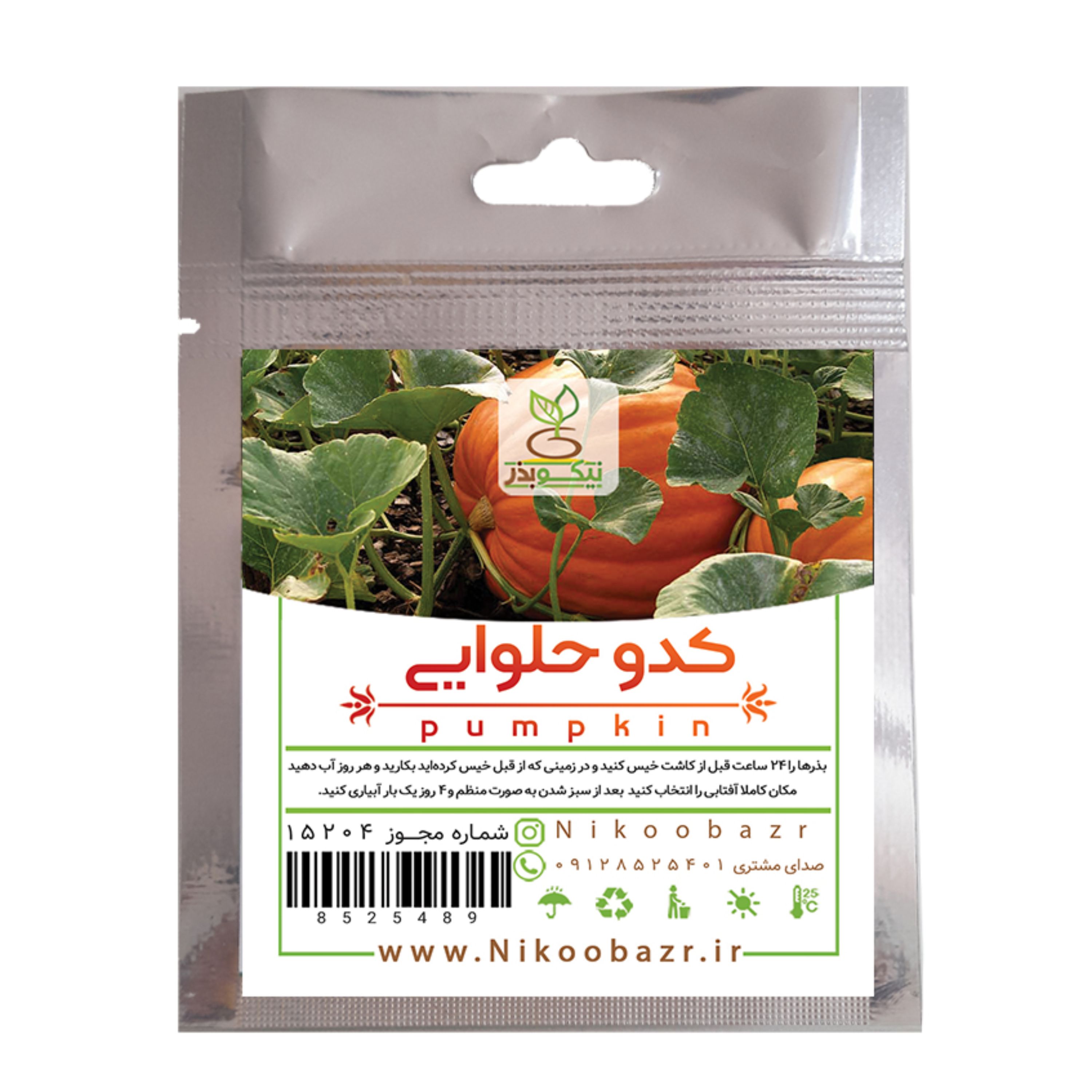 بذر کدوحلوایی