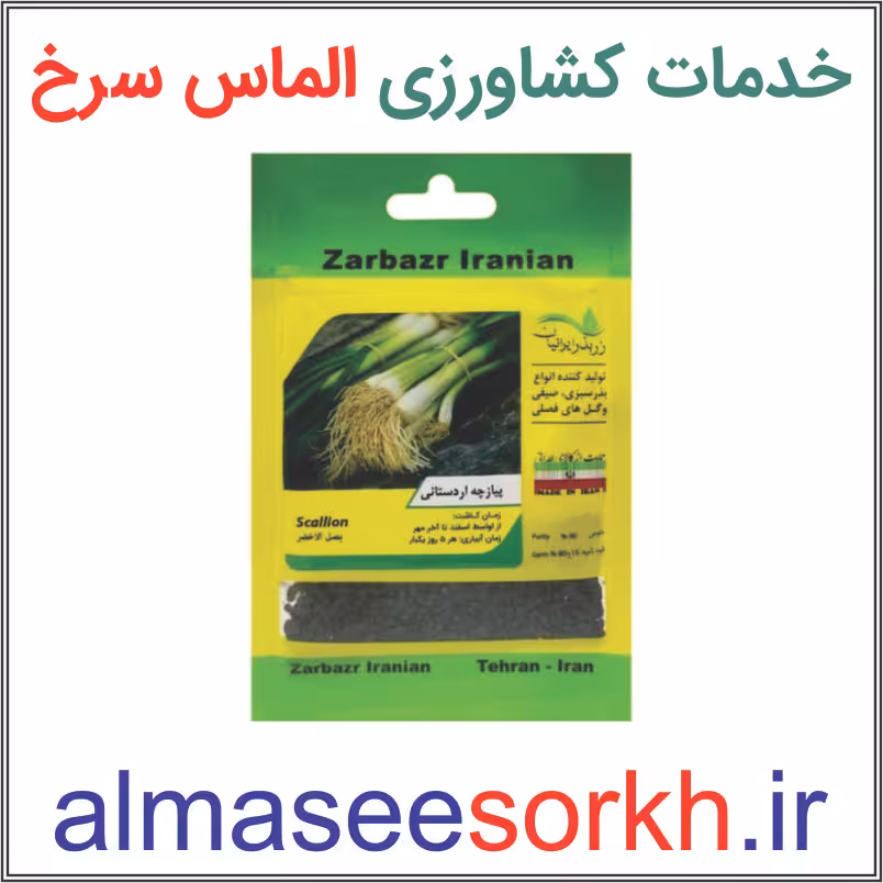 بذر پیازچه ممتاز زر بذر ایرانیان | گیاه پزشکی الماس سرخ