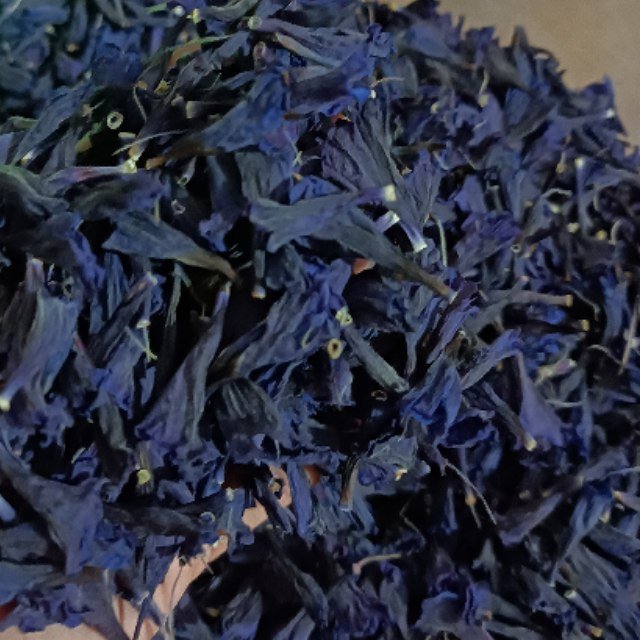 گل گاو زبان
