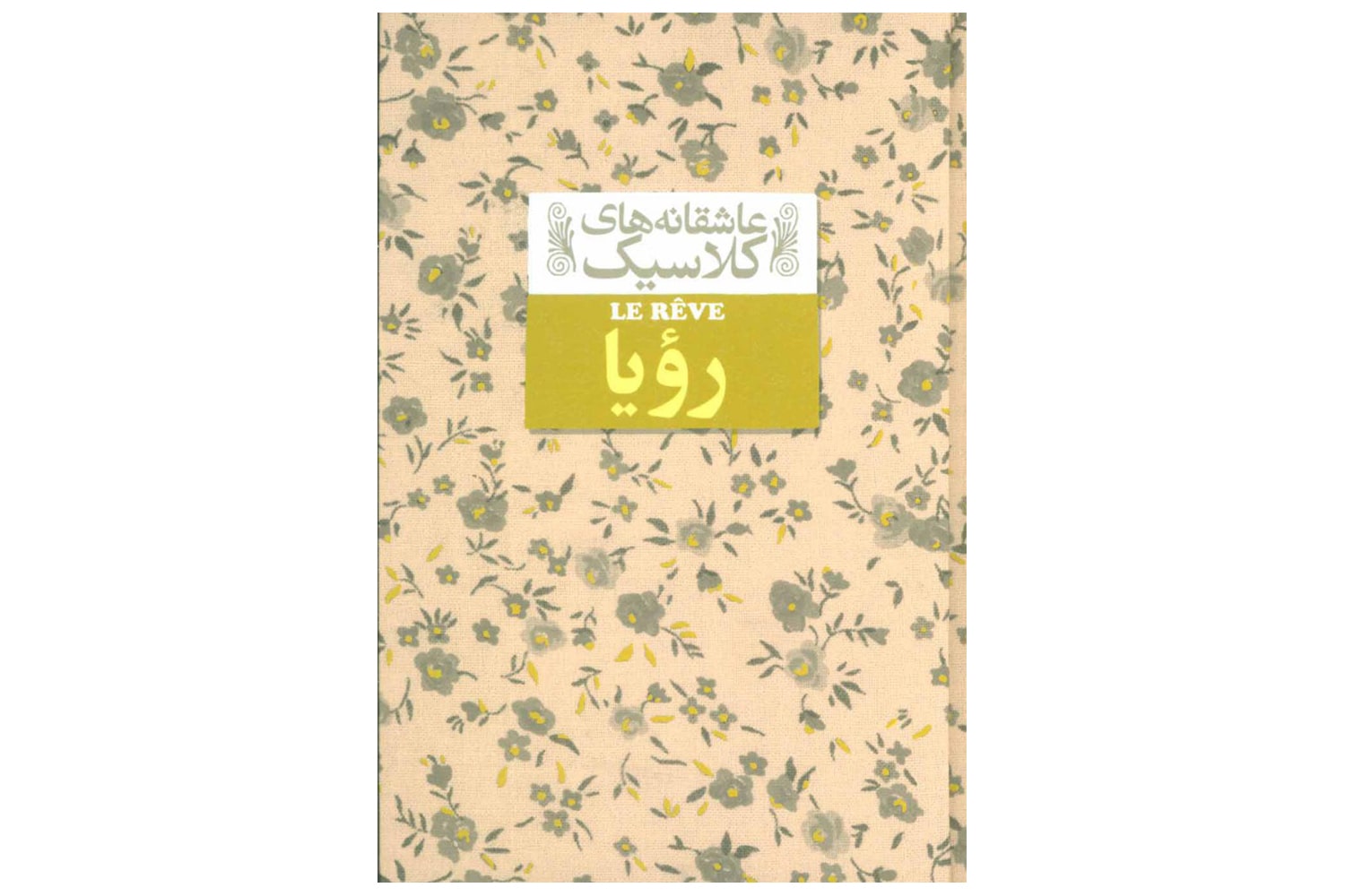 کتاب رویا (عاشقانه های کلاسیک 15)