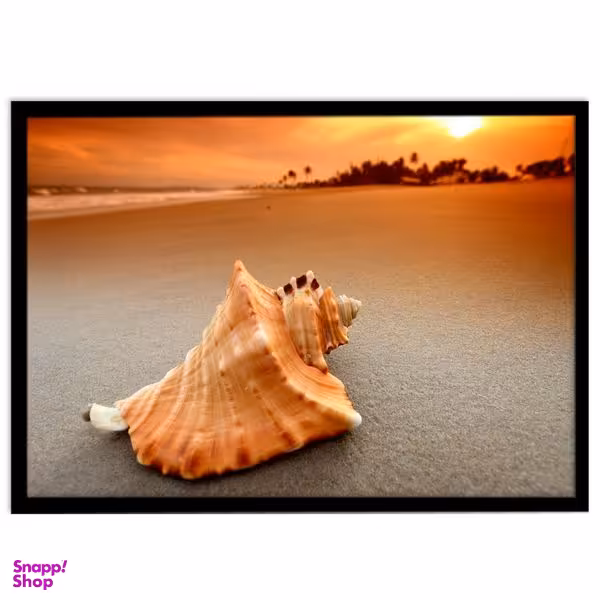 تابلو بکلیت طرح صدف دریایی مدل B-S1516