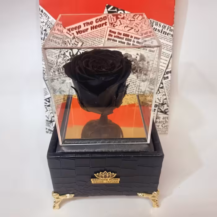 گل رز جاودان مشکی همراه باکس موزیکال