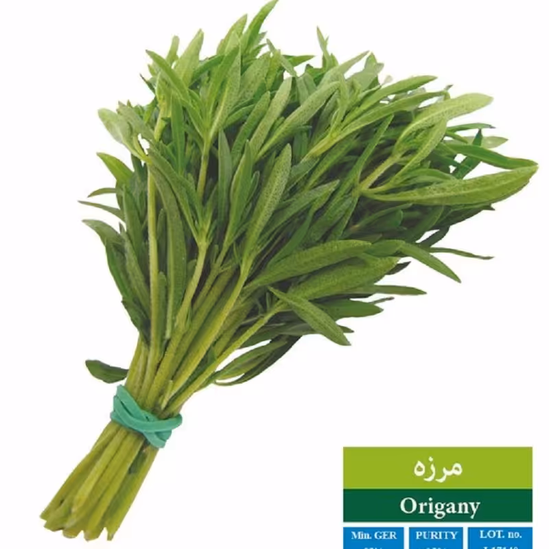 بذر مرزه