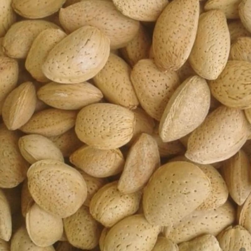 بادام درختی و مغز بادام